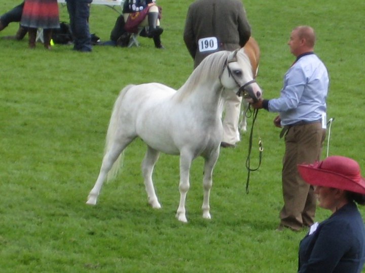 Rhesfair Joe Chwedl at RWAS 2011