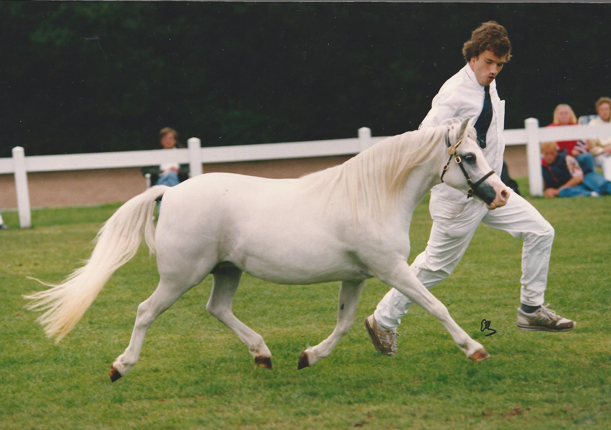 Sumrin Bluebell in 1993