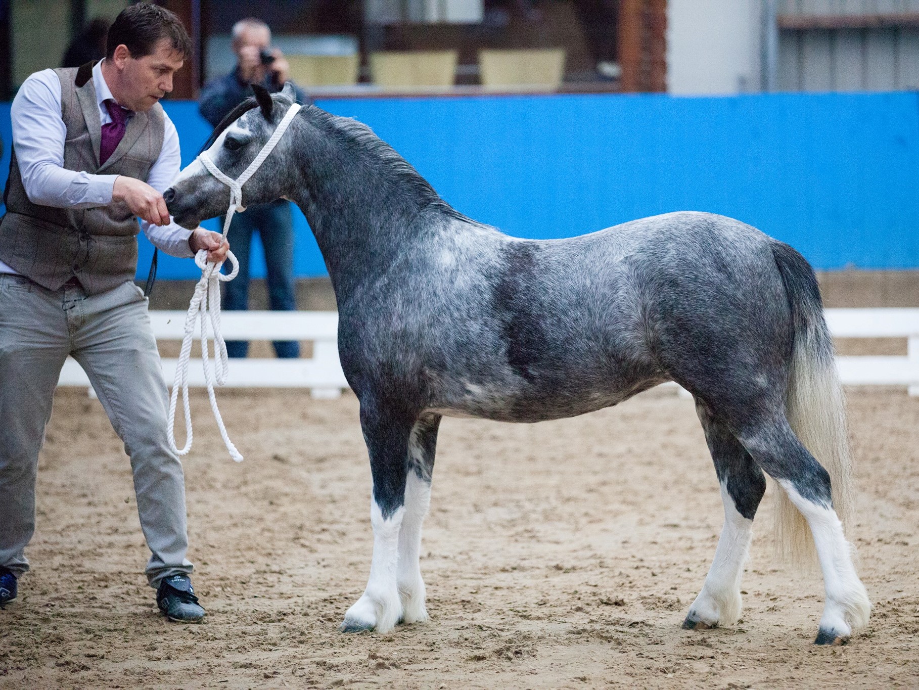 Sumrin Saint Mary wins at the Houten show